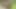 My gifted best friend took me to a cabin in the woods to fuck me wildly