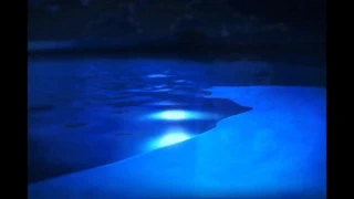 Aşk kalitesi: ben senin oyuncağın değilim