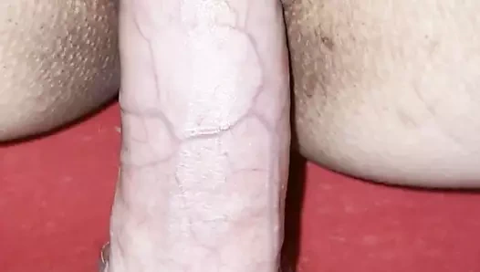 Küçük kedi büyük çük seviyor