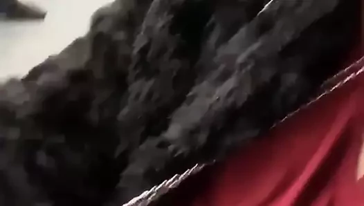 seksi horoz mastürbasyon