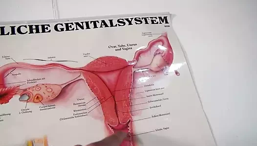 Sıcakta fahişeler için çılgın seks - bölüm 2