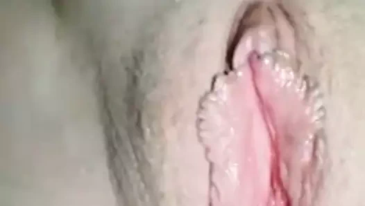 La rosada concha de de Roxy