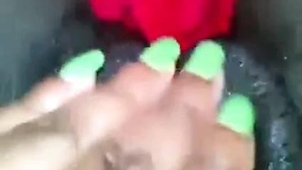 Güzel kremsi ıslak siyah kedi parmak