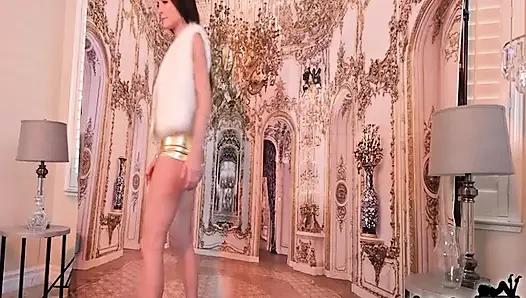 Puma sofie marie kedi, fotoğraf çekimi için poz verirken oynuyor