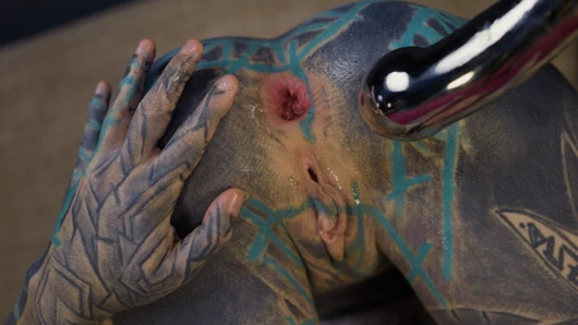 Anuskatzz soğuk, paslanmaz çelik oyuncağını alıyor ve sıkı götüne sokuyor