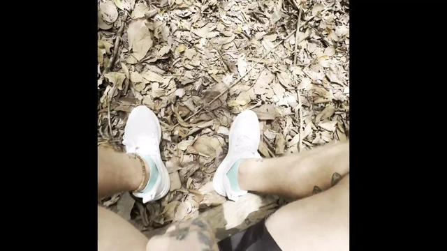 Ormanda yürüyorum ve elimde bir yarak tutuyorum