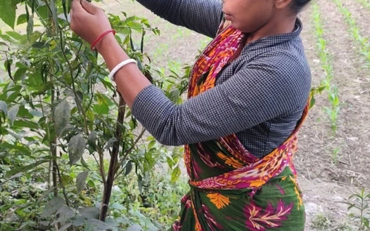 Yengem ve Dewar açık havada eğleniyor