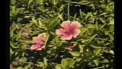 Randi fırtınası - bir havuzda su altında sıcak seks