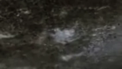 Lockdwon zamanlı seks