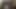 Asyalı bir kadın küçük beyaz yarak emmeden önce amıyla oynuyor