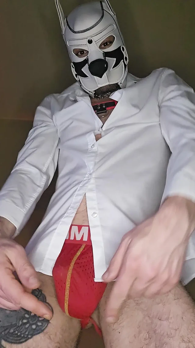 Köpek yavrusu kucak dansı