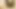 Desi Bhabhi Hindi Audio