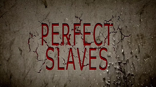 Рабыню собирают, обучают, мучают на аукционе