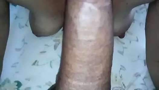 Culiadita