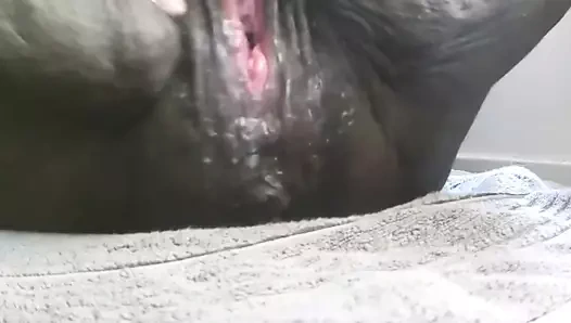 Onun kraliçe suga - yakın kremalı kedi