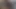 Kız arkadaş seksi amını yalarken seksi kız sikiliyor