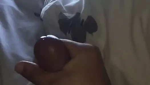 Karışık ırk boşalması