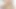 Ellen betsy seviyor derin kedi kahrolası