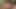 18 year old shy Asian teen makes first porn