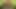 Connivingrat 3d porno hentai derlemesi 98