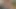 Çek bronzlaşmış esmer lapdances ve seksi şerit yapar
