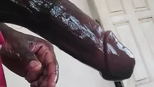 Büyük siyah damarlı yarak