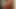 Aj applegate sikikleri içinde ağ çorap