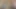 Benim sıkı genç kedi senin horoz için aç