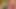 Onlyfans yeni çıplak solo penny pembesini 4k'de iş başında sızdırıyor