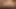Busty taylor cadaloz kırlangıçlar kedi önce makaslama emily