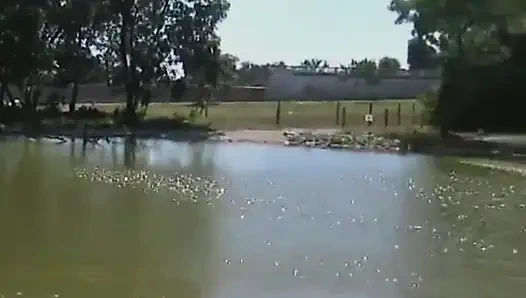 Sarışın kaltak açık havada işerken gözetleniyor