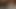 Malo zezanja ve skajpu ( skype eğlencesi )