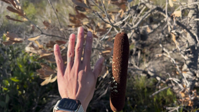 Ep 273. Bros cum at the same time. 🫂 Mission Complete.