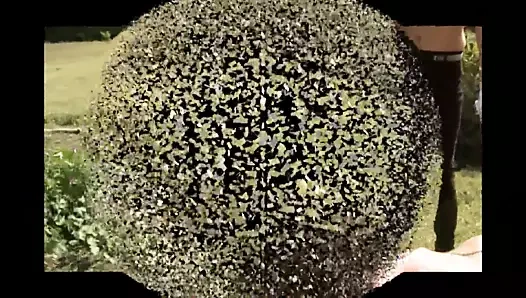 Bahçe köle kız bayan shakira aşağılıyor ona alt açık ile toprak