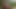 7162.mp4