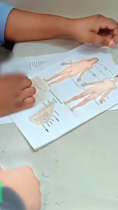 Hintli üniversiteli kız seks eğitimi bölüm- 1 | Klip 1