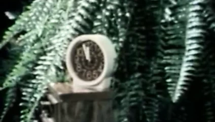 X faktörü güzel bir aşk hikayesi