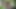 Askeri lezbiyenler birbirlerinin amlarını yalıyor ve sikiyor