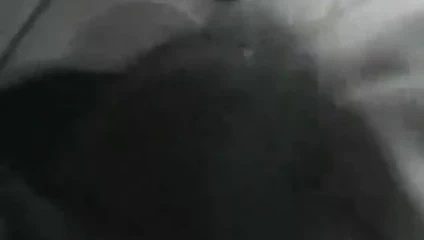 Lezbiyen bağbozumu sahne itibaren tata tota lezbiyen blog