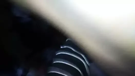 Bhabhi ko ghodi bana kar uski choot ka pani nikala