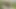 Yaşlı çift beni grandparentsx'te yürüyüş yaptıktan sonra röntgenciliğe katılmaya davet ediyor