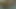 Web kamerasında mükemmel memeler