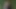 Pakistanlı Hint bengalcesi tiktok