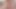 Clara g – çifte kedi çılgınlığı