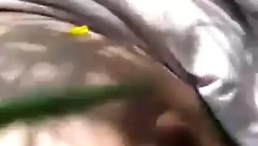 Jungle me Desi ateşli kız arkadaş amcık videosu