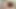 Julia leite ve analua iri güzel kadın emzirme lezbiyen süt spreyi grup seks