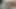 Ateşli seksi ayı 080821