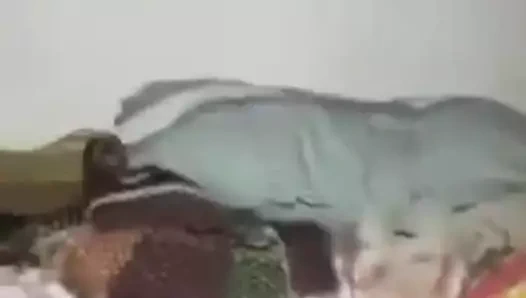 sevimli desi kardeş boob &amp; kıllı göğüsleri KEDİ gösterme