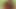 Sativa gül ve kaiya lynn içinde anal üçlü