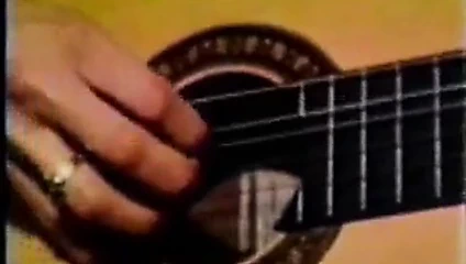 Şampanya ve büyük bir siyah horoz